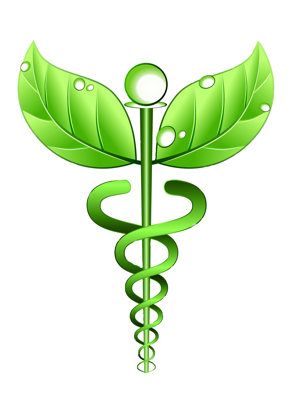 Verified Reviews, Ratings & Comparisons of Naturopathic Doctors for Visit Fees, Years of Experience, Location etc.